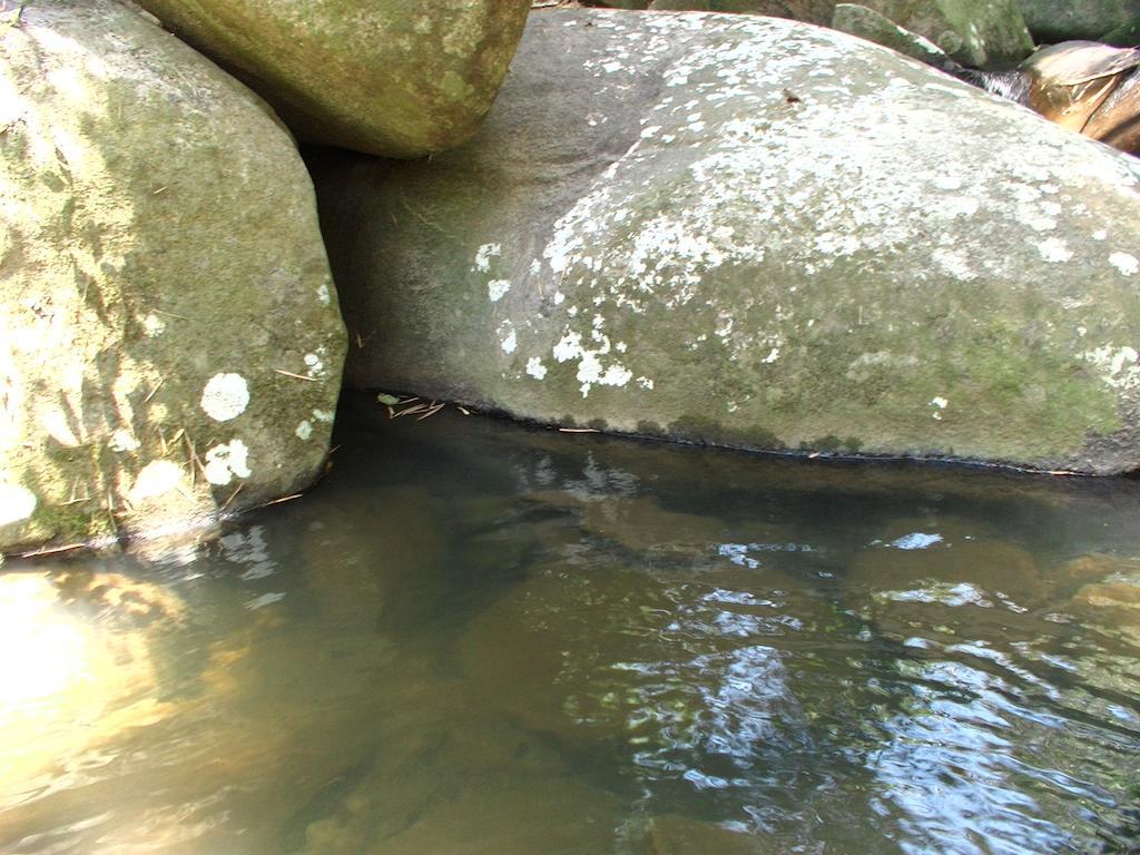 Ytororô O som das águas Parati Exterior foto