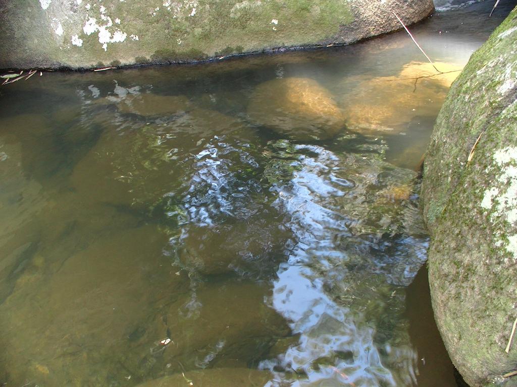 Ytororô O som das águas Parati Exterior foto